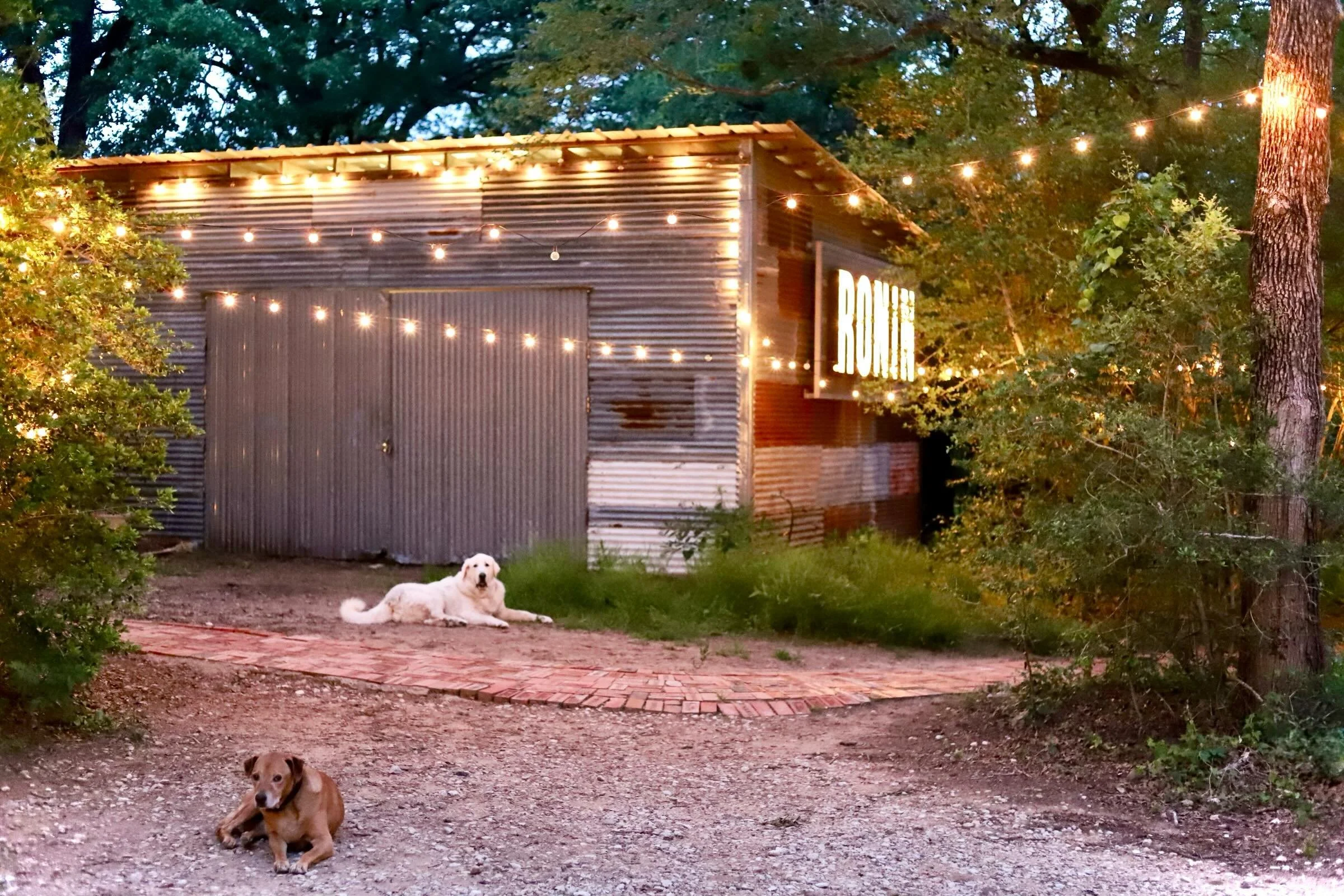 Thank you again to the folks who joined us for Spring Fried Chicken last night! Lights on tonight for special 40th birthday dinner with the welcome crew of Farm pups&mdash; sweet Goliath and big Bow. (Sly Bexar not pictured and likely into mischief.)